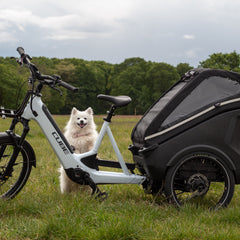 Collection image for: CUBE Trike hybrid