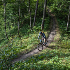 CUBE Hardtail MTB in het bos op de mountain bike trail