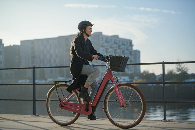 Elektrische woon-werkfietsen