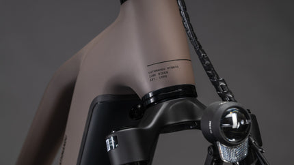 CUBE KATHMANDU HYBRID EXC 800 CEDAR/CHROME