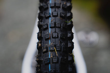Schwalbe Wicked Will Evo Super Ground 29X2.25