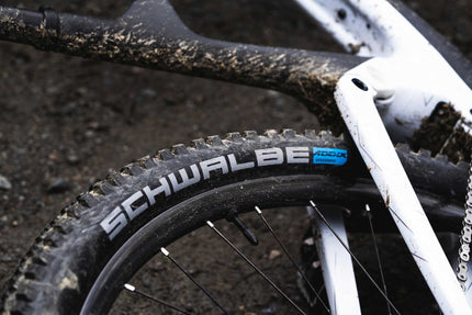 Schwalbe Wicked Will Evo Super Ground 29X2.25