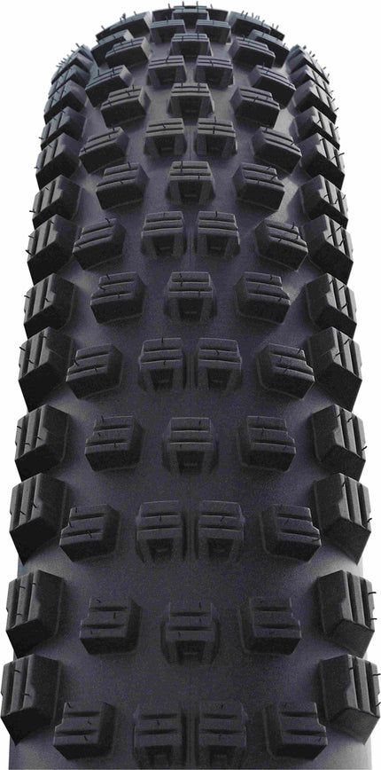 Schwalbe Wicked Will Performance Fold 29X2.25