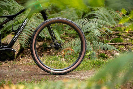 SCHWALBE RICK XC PRO EVO TLR SPEED TRANSPARENT SKIN 29X2.40