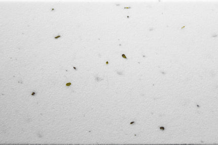 CUBE Bar Tape Cork White