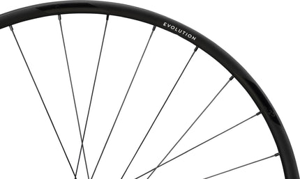 NEWMEN WHEEL EVOLUTION SL X.R.25 29" 28H FADE R SP CL 12X142