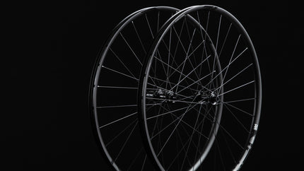 NEWMEN WHEEL EVOLUTION SL X.R.25 29" 28H FADE R SP CL 12X142